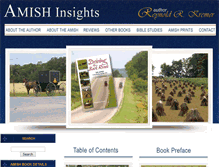 Tablet Screenshot of amishinsights.com